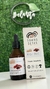 Melena de Leon + Reishi Extracto - comprar online