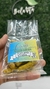 Curcuma Entera (Raiz)
