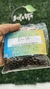 Pimienta Negra en Grano X50grs