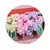 CANETA GEL MOLIN LOVE FLOWERS SORTIDA na internet