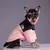 Roupa para cachorro - The Dog Face - comprar online