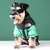 Roupa para cachorro - The Dog Face