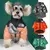 Roupa para cachorro - The Dog Face na internet