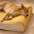 Cama Ortopédica Nobre para Cães - Animal Store
