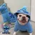 Fantasia Disney Stitch para Cães - comprar online
