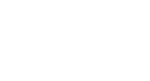 SuplementosEnArgentina.com – Tienda Online con Envío Gratis a Todo el País