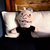 Peluche Amlo Presidente Pejeluche El Mejor Presidente México - kyaBoutique23