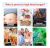 Parche Diabetes 100% Natural Control Niveles Glucosa Sangre - comprar en línea