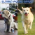 Imagen de Spray Curativo Perros Gatos Con Aceite Tea Tree 100% Natural