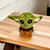 Peluche Baby Yoda Star Wars 20 Cm Calidad Premium Yoda