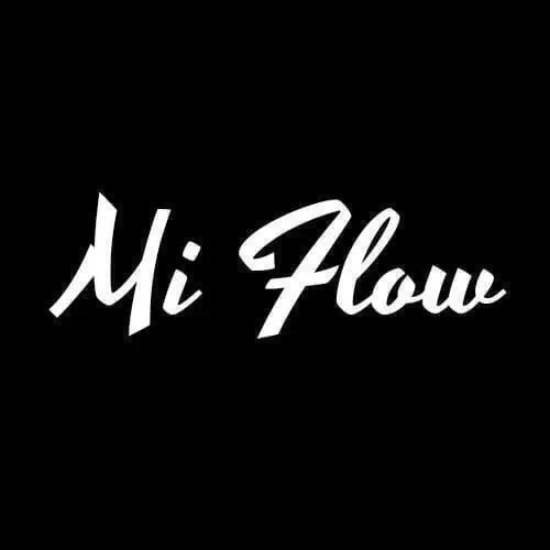 Mi Flow Shoes