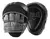 Everlast Powerlock Focus Mitts - comprar online
