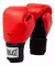 Everlast Pro Style2