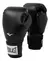 Everlast Pro Style2 en internet