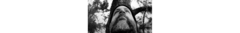 Banner de la categoría Pablo Martin