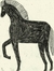 Caballo salvaje - comprar online