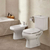 Inodoro Con Mochila Bidet Roca Monaco Baño Completo 3c
