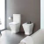 Inodoro Largo Deposito Tapa Amortiguada + Bidet The Gap Roca - comprar online