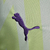 Camisa Manchester City Goleiro 23/24 - Torcedor Puma Masculina - Verde com detalhes em rosa - Camisa 83 Imports