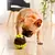 Brinquedo Interativo Para Cães com Dispenser para Petisco e na internet