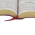 Bíblia Sagrada - Letra Gigante - Vinho | ARC - Oliveira Paper | Bíblias, Livros e Planner´s Digitais