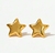 EARRING GOLDEN STAR - comprar en línea