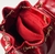 BOLSA MONIQUE
