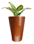 Imagem do Vaso Estilo Vietnamita Vitrificado 39cm V03-01