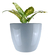 Vaso Estilo Vietnamita Vitrificado 27cm V02-01