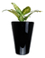 Vaso Estilo Vietnamita Vitrificado 39cm V03-01