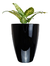 Vaso Estilo Vietnamita Vitrificado 40cm V01-01