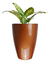 Vaso Estilo Vietnamita Vitrificado 40cm V01-01 - loja online