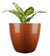 Vaso Estilo Vietnamita Vitrificado 42cm V02-03 - loja online