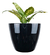 Vaso Estilo Vietnamita Vitrificado 42cm V02-03 - comprar online
