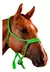 CABRESTO C/ CABO TRANCADO - loja online