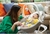 Cadeira Balanço infantil Bouncer Sansa 2 in 1 Portrait -Joie - comprar online
