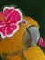 Encanto Tropical - Atelie Pihrarukh