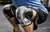 Joelheiras de Compressão para treinamento, Cross Training, Suporte e Proteção na internet