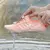 Tenis barefoot, minimalista para treinamento e passeio na internet