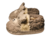 Imagen de Producto5