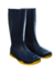 Bota de lluvia en internet