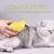 Escova a Vapor para Cão e Gato – Pulverizador Elétrico para Massagem | Pet Groom