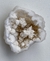 Geoda Blanca