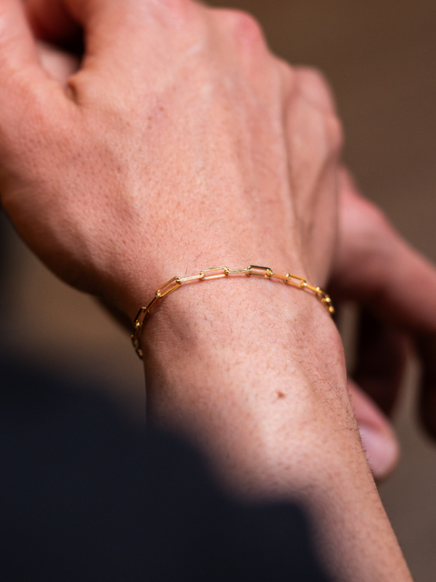 Pulseira de Prata 925 Banhada a ouro 18k Elo alongado 20cm - comprar online