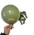 Globos Látex BALLOON INC.9" Paq. x 50 u. VERDE OLIVA - comprar online