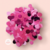 Confetti Rosa y Fucsia 15 grs. (papel seda) - comprar online