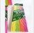 SORBETE INTENSO SURTIDO X 24 - comprar online