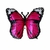 Globo Mariposa Mini Fucsia y Negro - comprar online