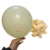 Globos Látex BALLOON INC. 10" paq. x 50 u. BEIGE - comprar online