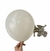 Globos Látex BALLOON INC. 10" paq. x 50 u. HUESO - comprar online